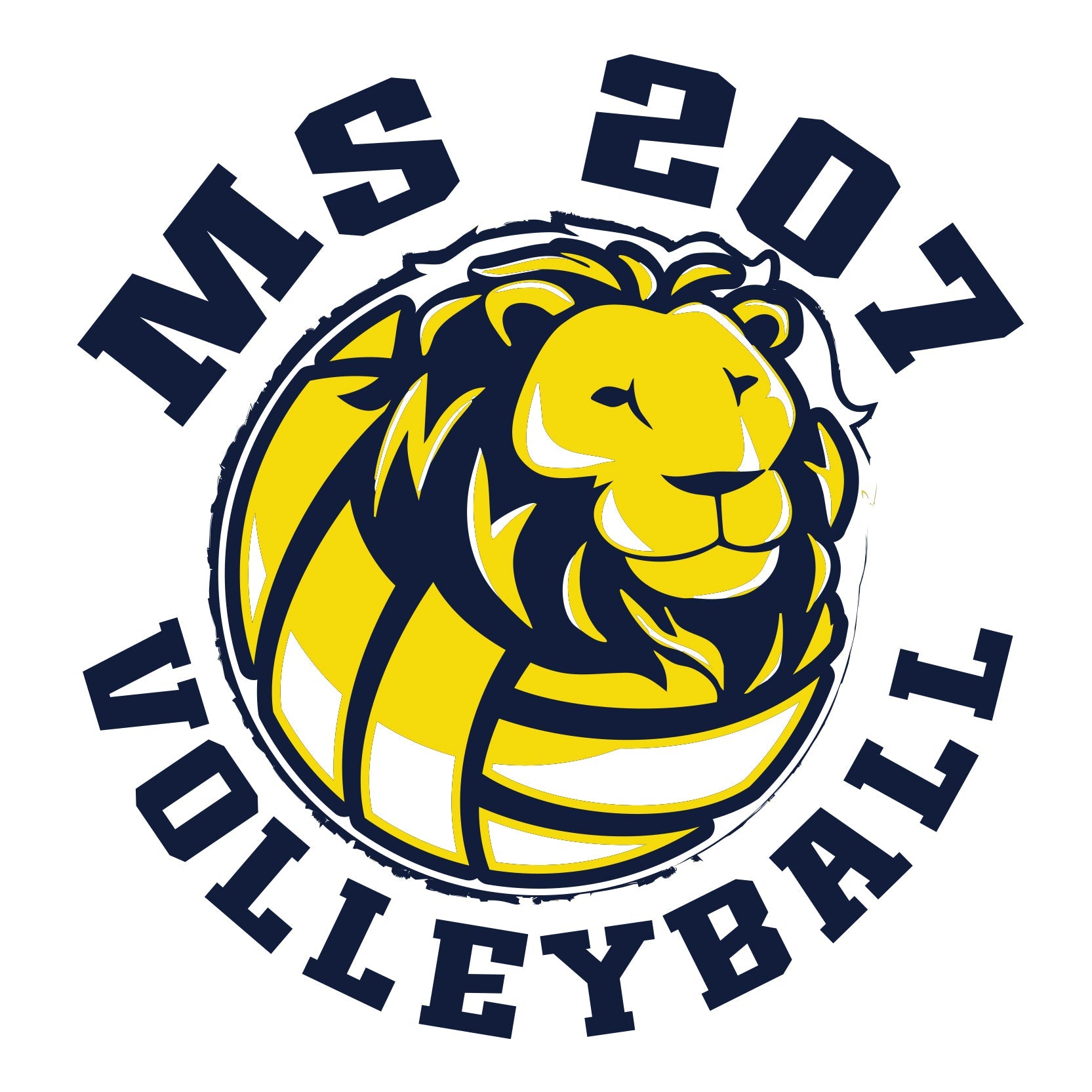 MS 207 VOLLEYBALL