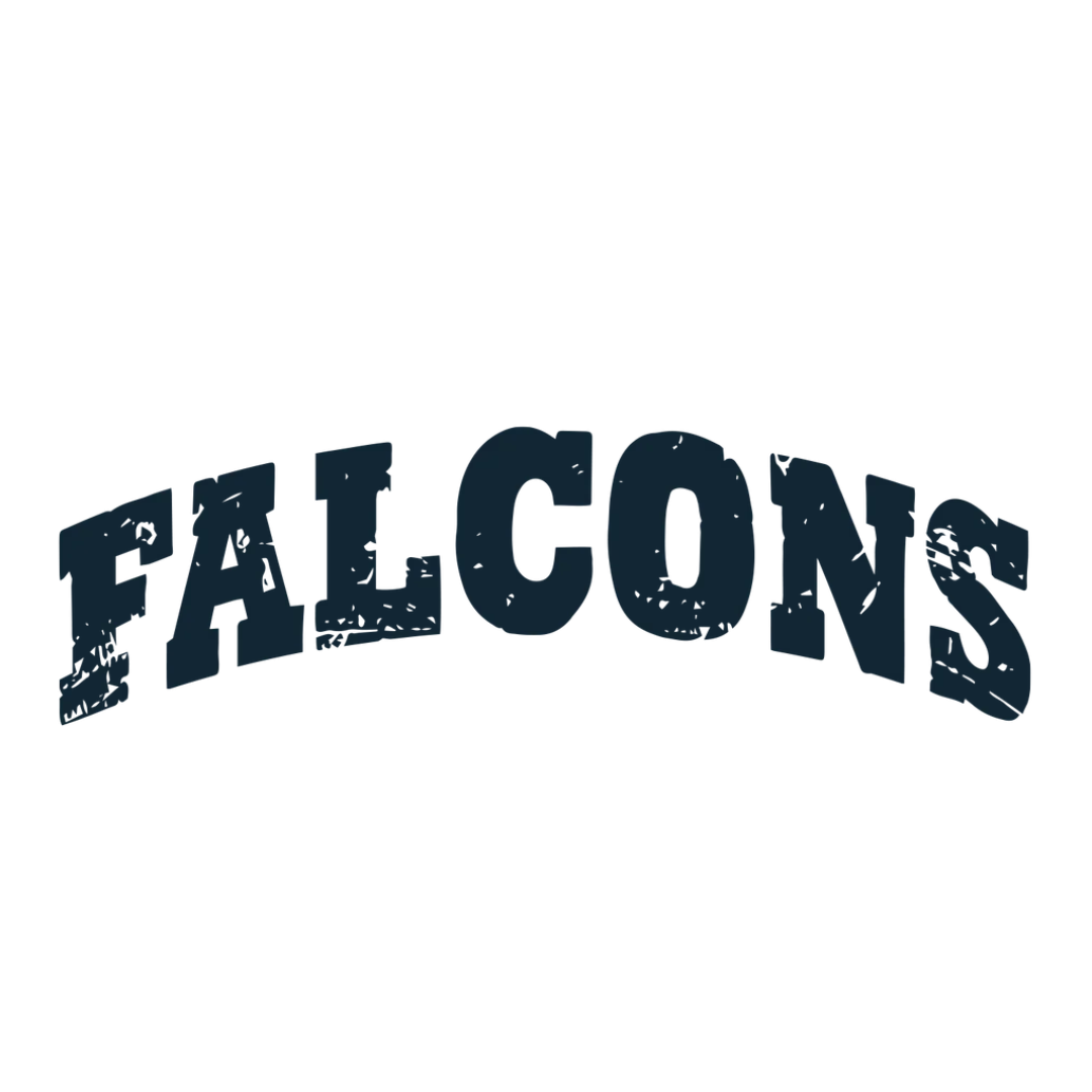CAVE CREEK FALCONS