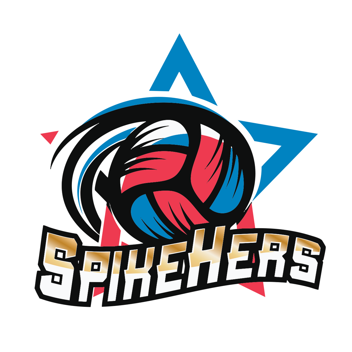 SPIKEHERS VOLLEYBALL