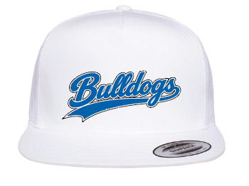 BLUE COLLAR BULLDOGS BASEBALL FLAT BILL CAP