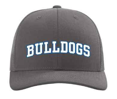 BLUE COLLAR BULLDOGS BASEBALL SNAPBACK TRUCKER HAT