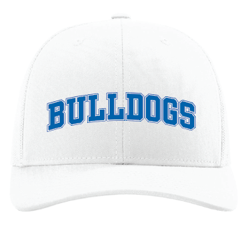 BLUE COLLAR BULLDOGS BASEBALL SNAPBACK TRUCKER HAT