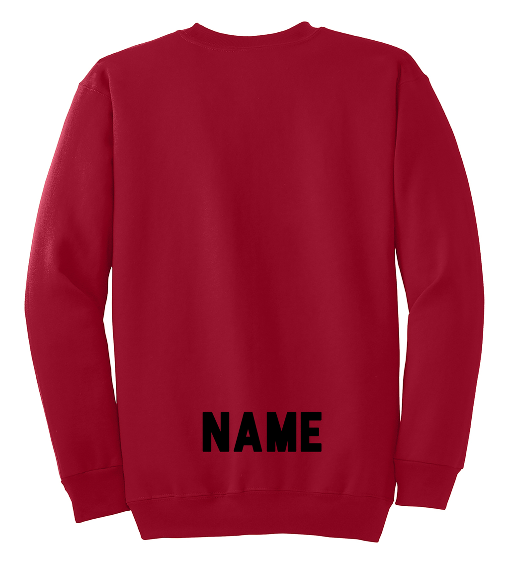 PLAINEDGE VOLLEYBALL Crewneck